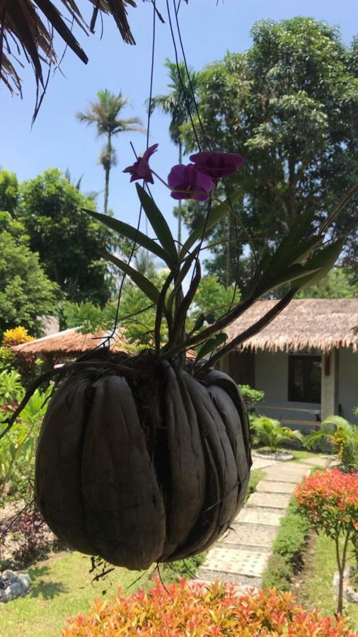 Villa Paradise Bukit Lawang Exterior photo